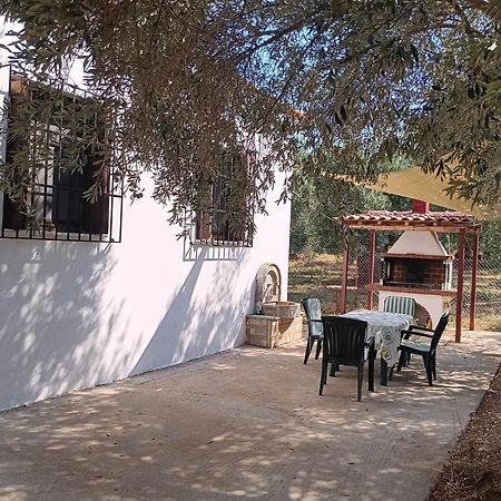The Small House In The Olive Grove Lefokastro Buitenkant foto