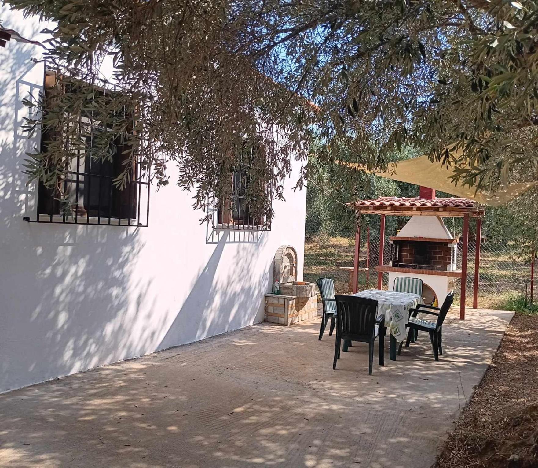 The Small House In The Olive Grove Lefokastro Buitenkant foto