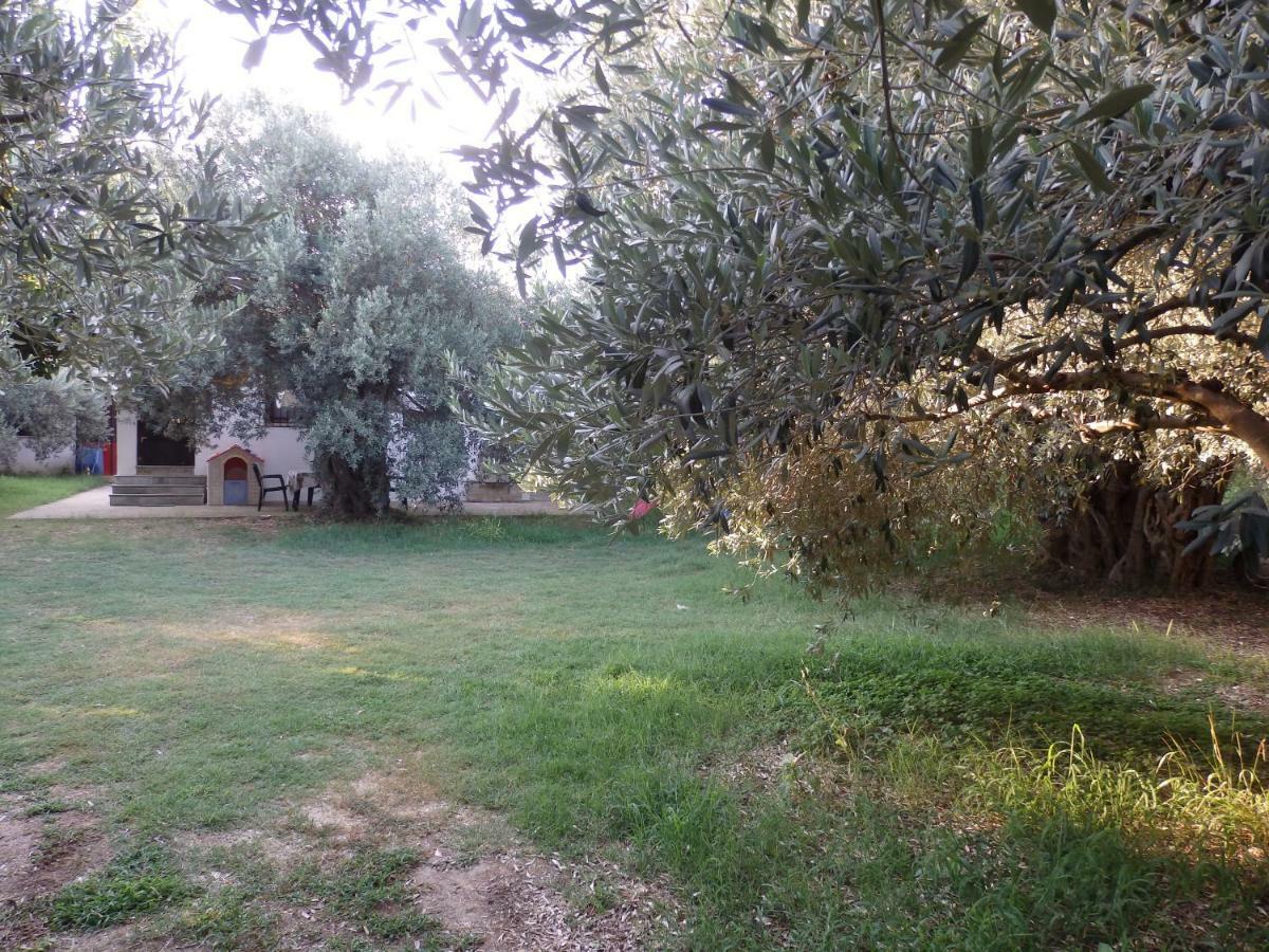 The Small House In The Olive Grove Lefokastro Buitenkant foto