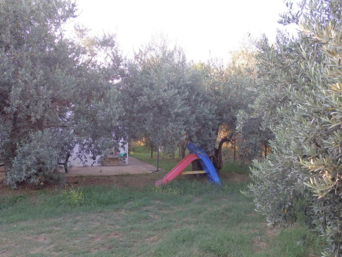 The Small House In The Olive Grove Lefokastro Buitenkant foto