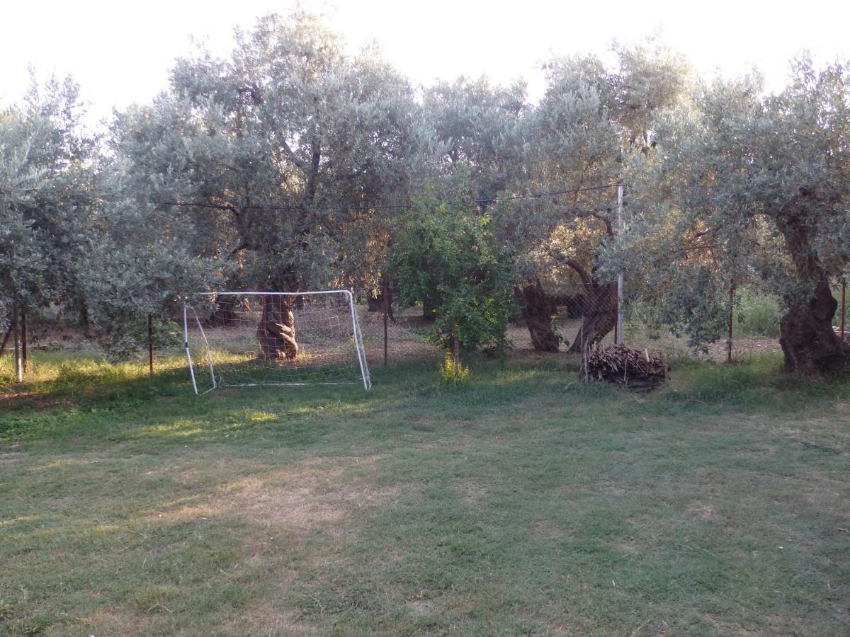 The Small House In The Olive Grove Lefokastro Buitenkant foto
