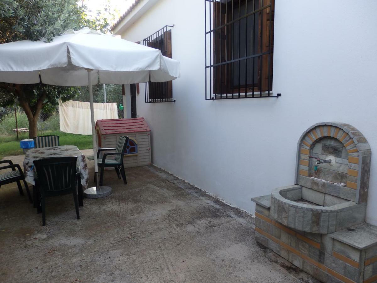 The Small House In The Olive Grove Lefokastro Buitenkant foto