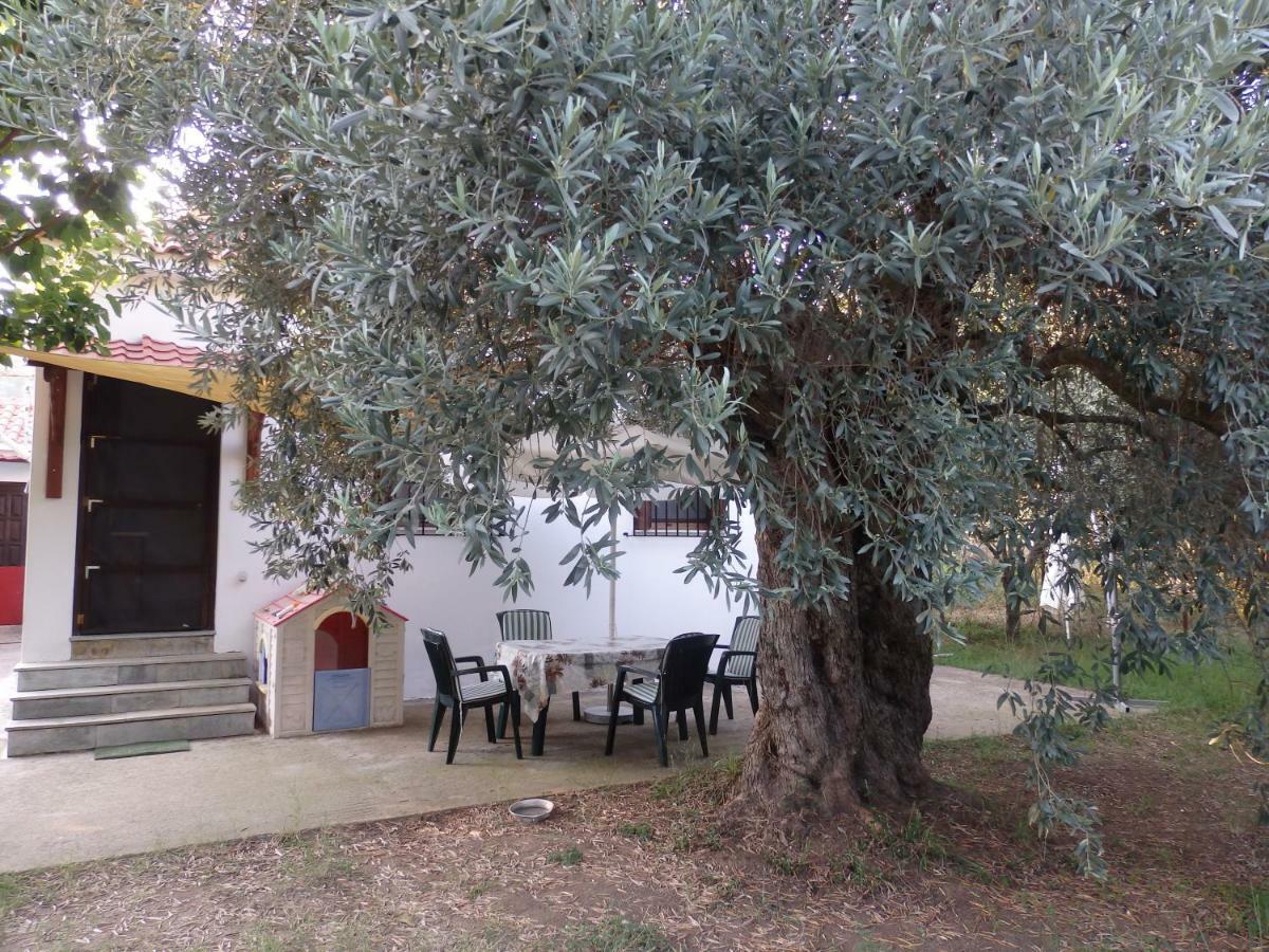 The Small House In The Olive Grove Lefokastro Buitenkant foto