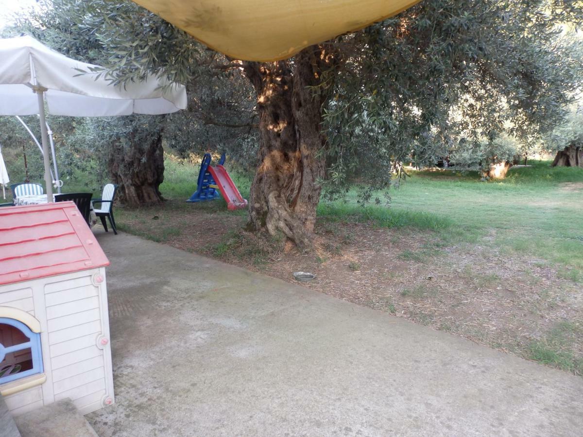 The Small House In The Olive Grove Lefokastro Buitenkant foto