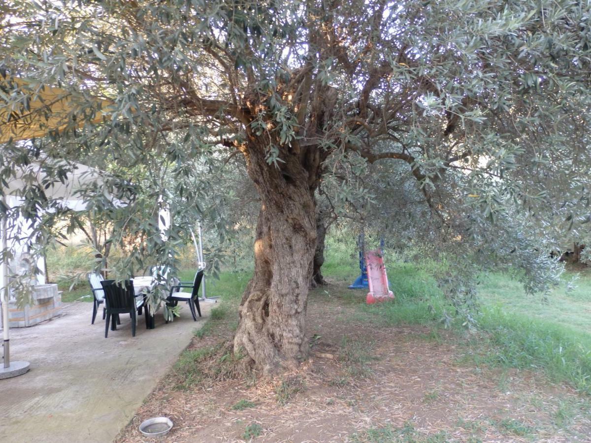 The Small House In The Olive Grove Lefokastro Buitenkant foto