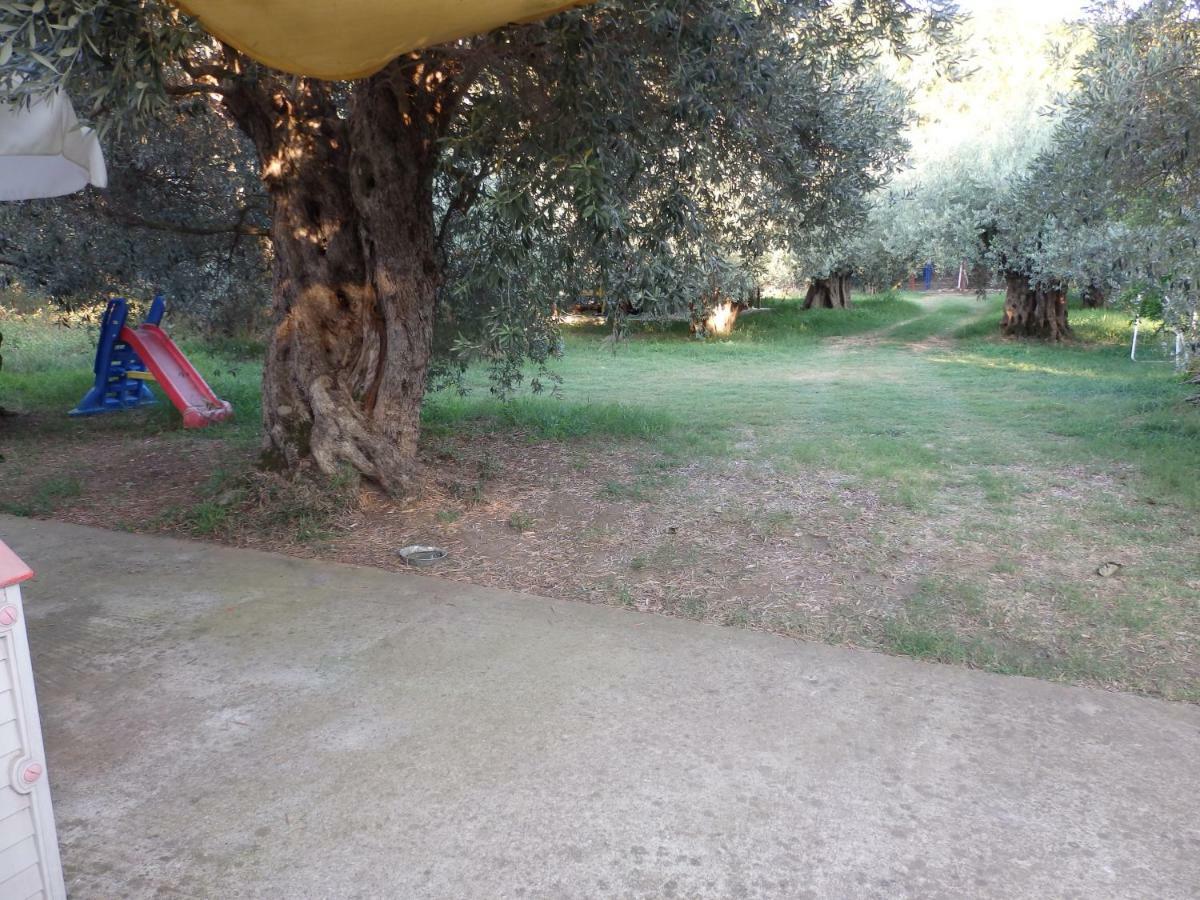 The Small House In The Olive Grove Lefokastro Buitenkant foto